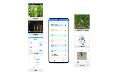 通化市小麦表型检测仪IN-XM04